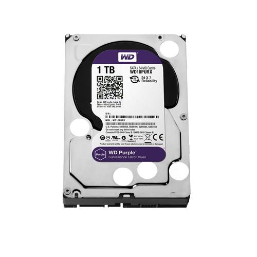 Western Digital Purple 1TB Surveillance Hard Drive dealers chennai, hyderabad, telangana, andhra, tamilnadu, india